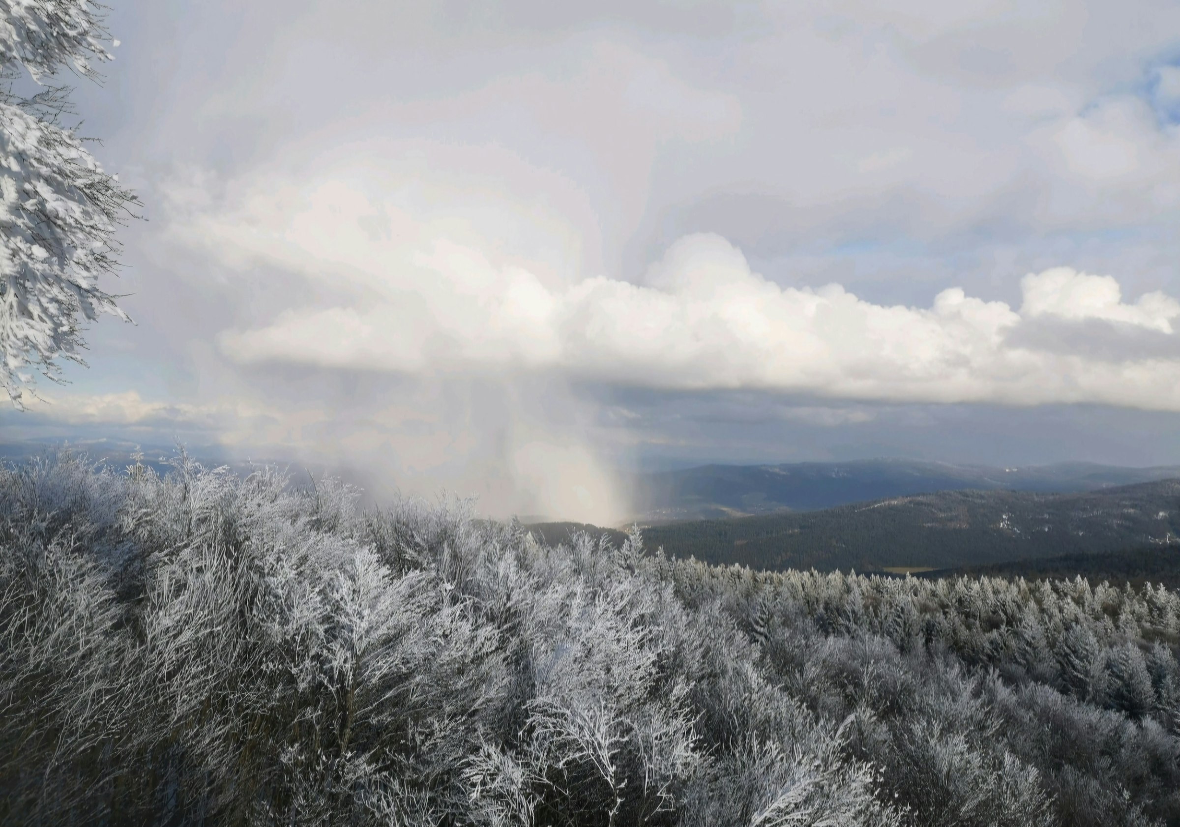 800 qm Paradies zum Kräftetanken