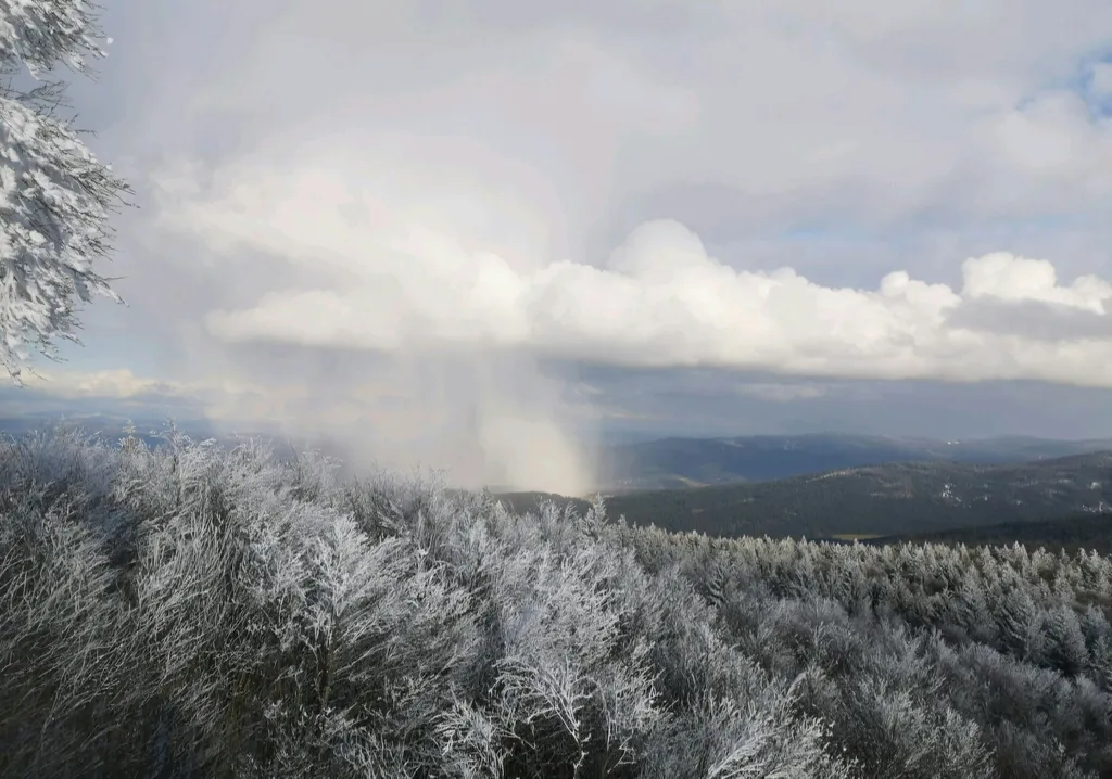 800 qm Paradies zum Kräftetanken