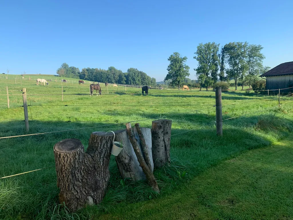 Umgeben von Natur mit Bergblick
