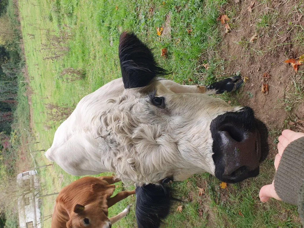 Bild von Max für den Spot 1436