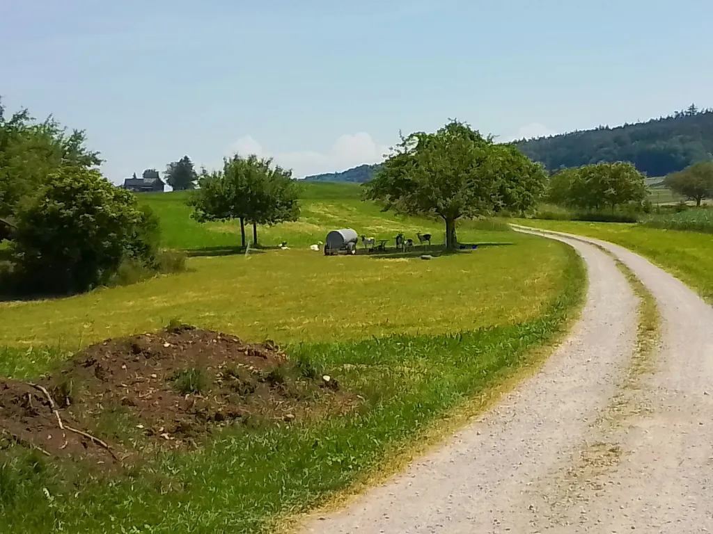Idyllisches Camping auf dem Biohof
