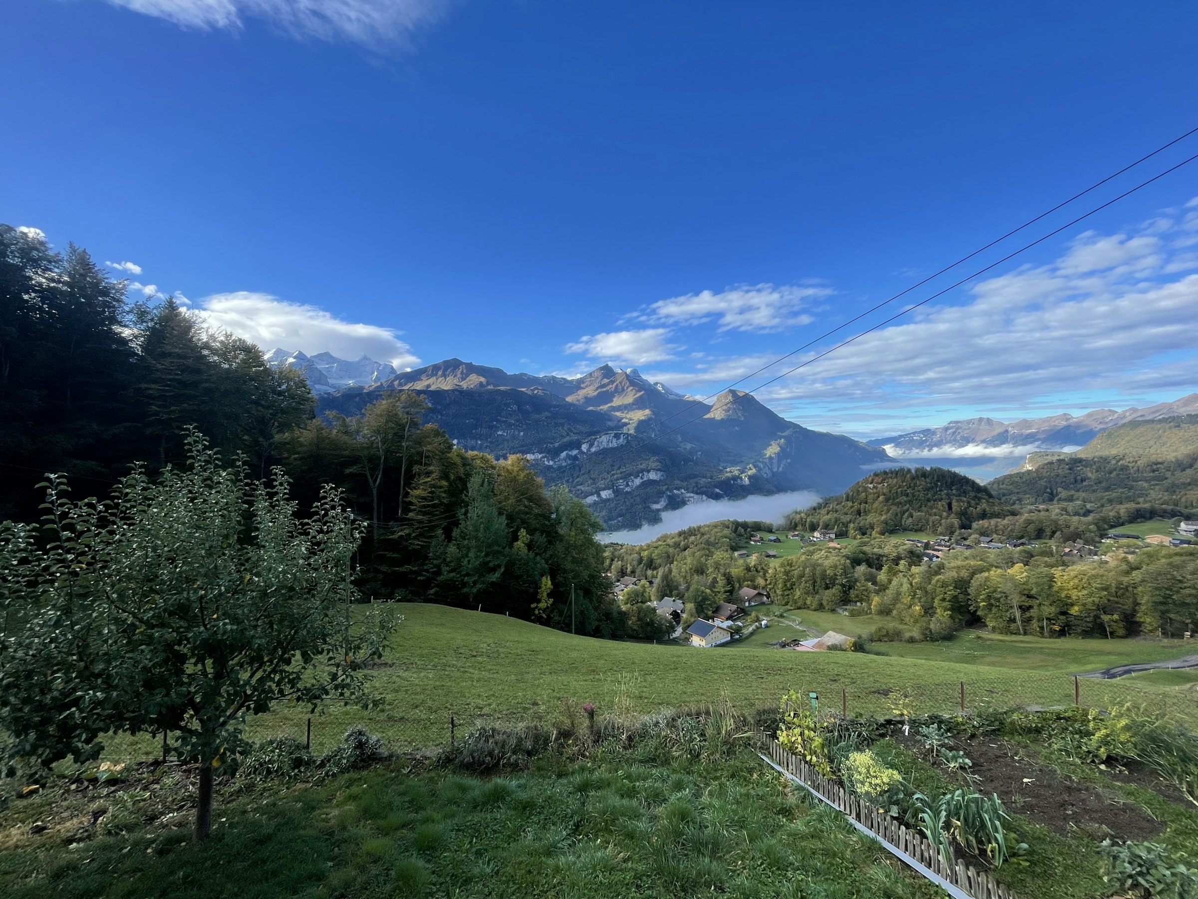 Biohof Beutefluh am Hasliberg