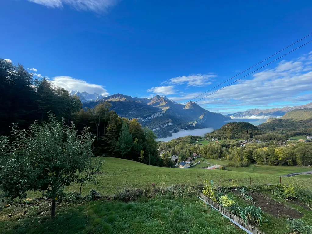 Biohof Beutefluh am Hasliberg