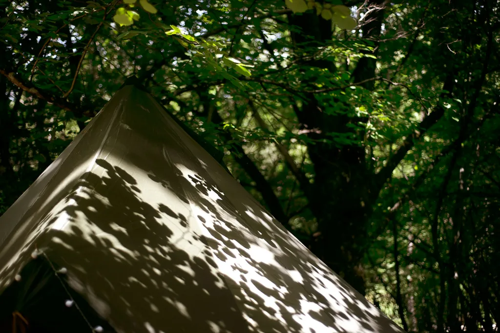 Senxunia Glamping Nel Bosco