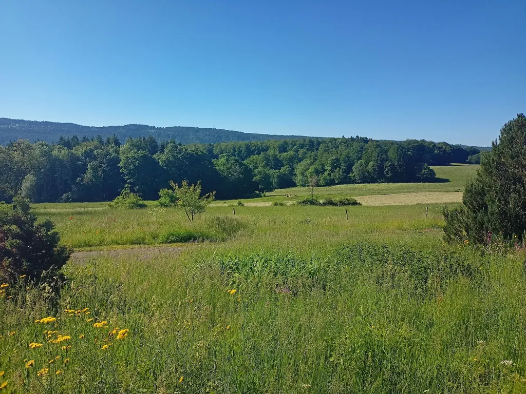 Une vie Zen dans le Haut-Doubs