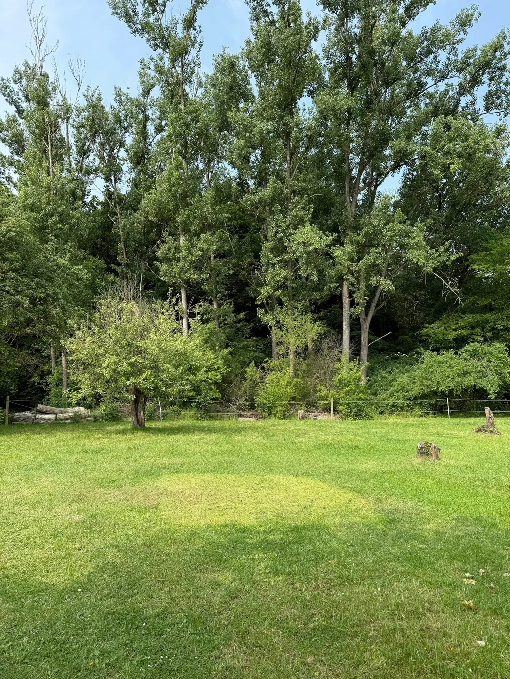 'Waldfarm' im Natura 2000