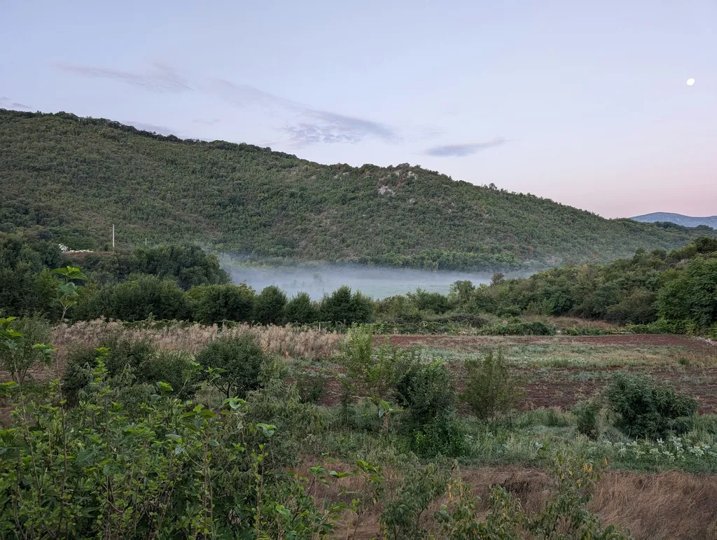 Kongora DOLAC