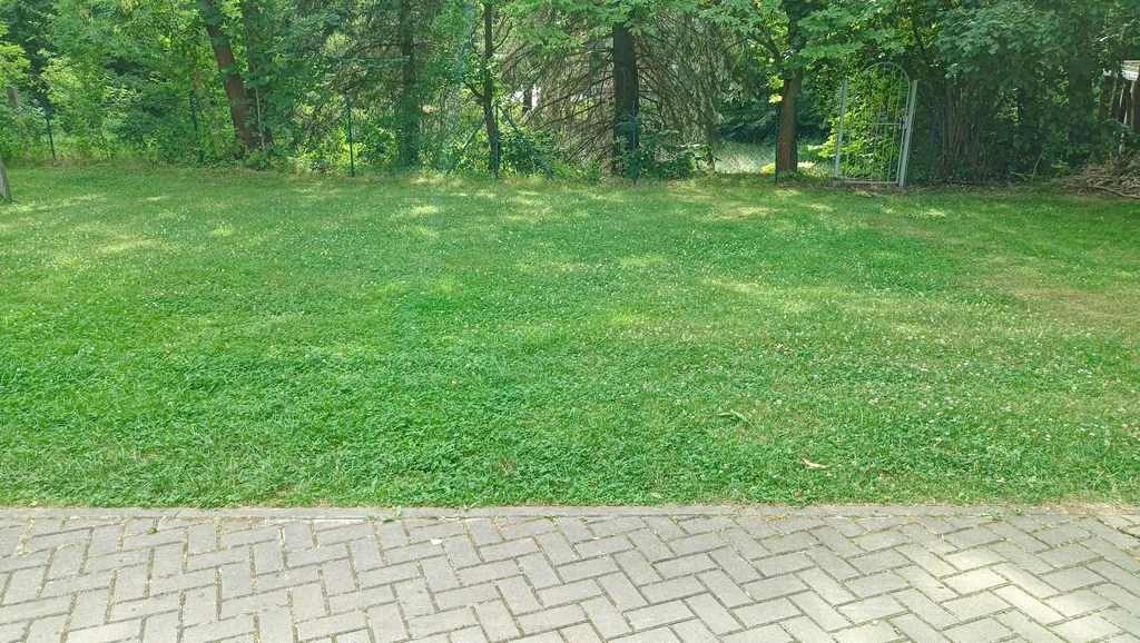 Ruhiger Stellplatz/Zeltwiese