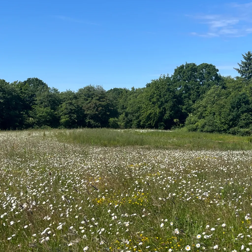 Bauernwälder und Naturschutz in Schleswig Holstein