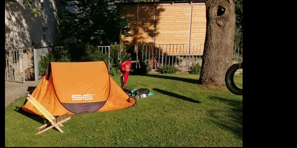 Mein steinalter Birnbaum