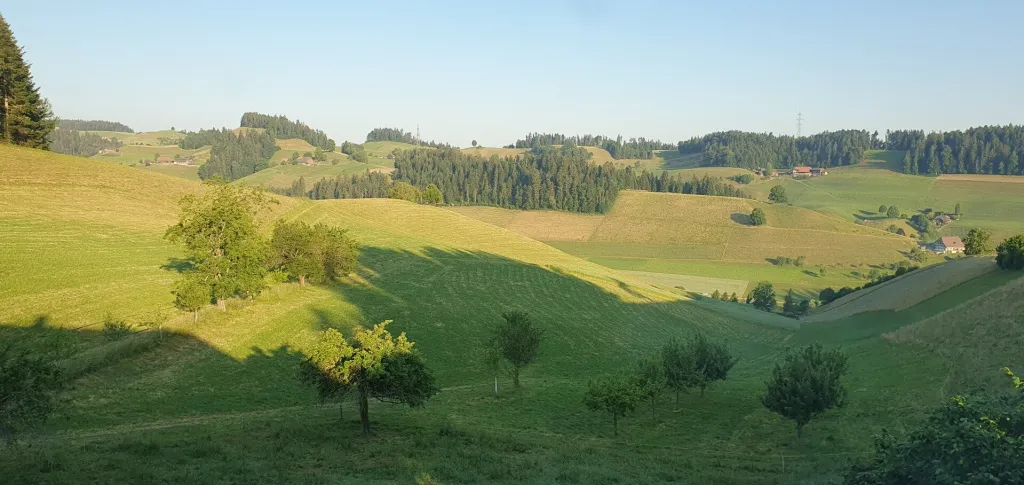 Emmentalcamp unter der Linde