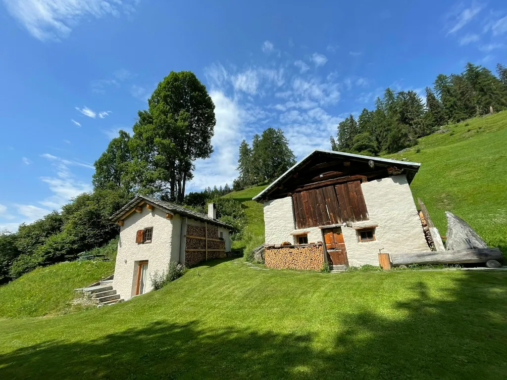 Hütte (Tinyhouse) bei Lohn GR