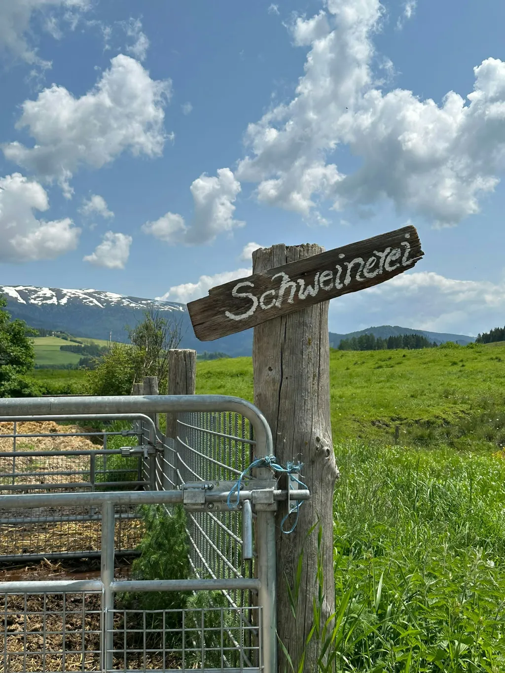 Auszeit am Bauernhof+Zirbitzblick