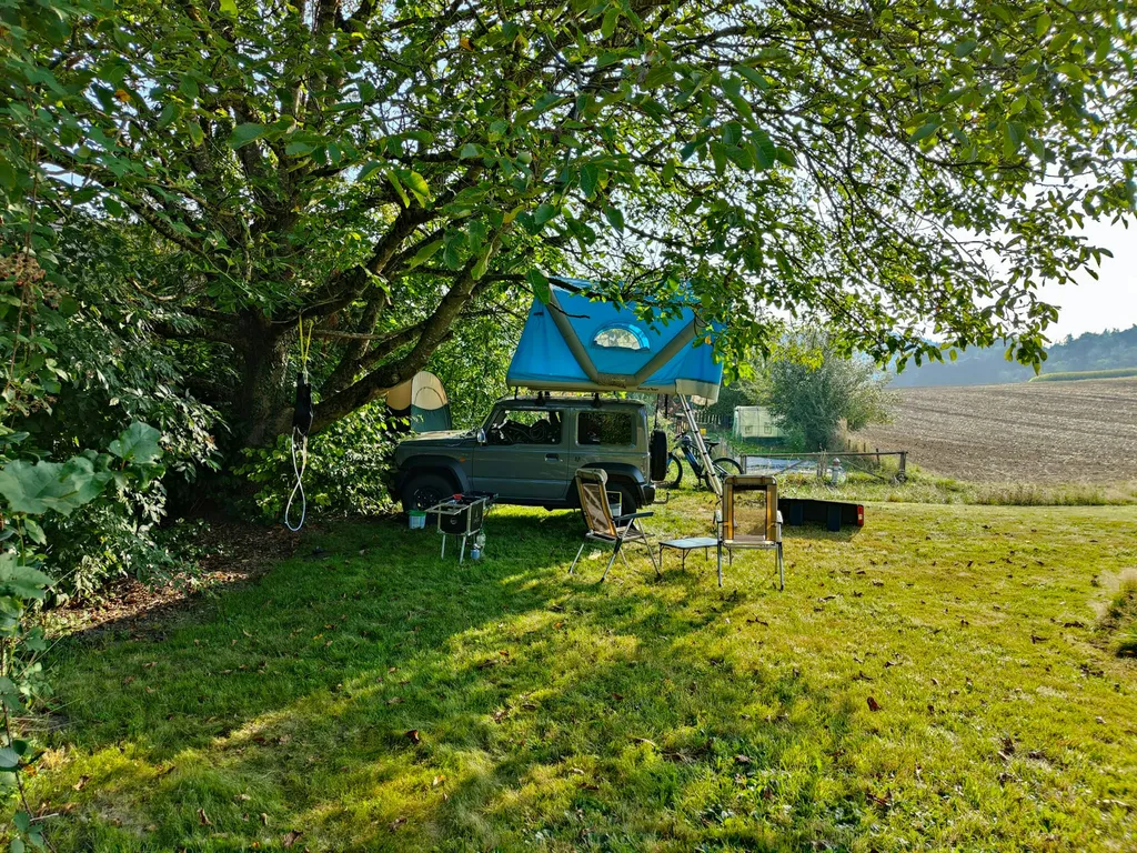 Tree Camp Rütihof
