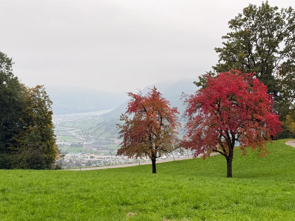 Bild von Beatrice für den Spot 174