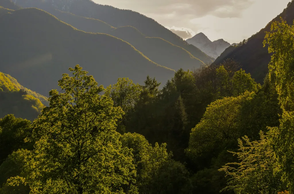 Wild Valley Villa Edera