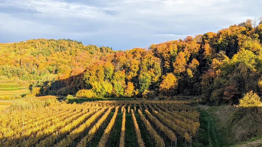 Bild von Sabine für den Spot 1693