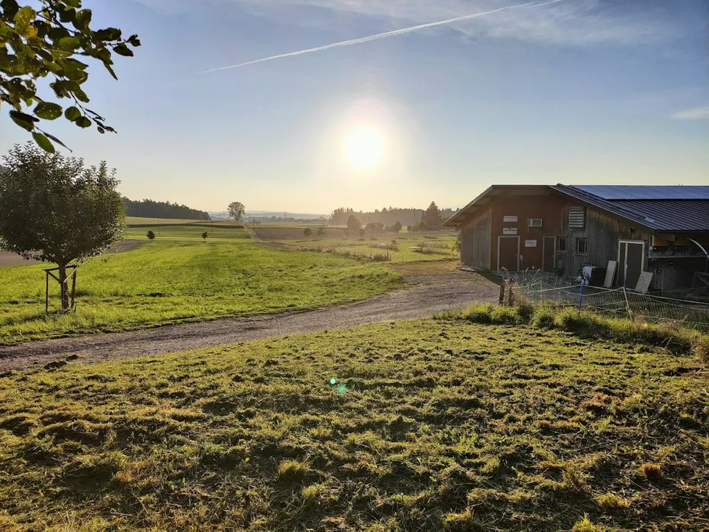 Biohof Maiacher - inmitten der Natur