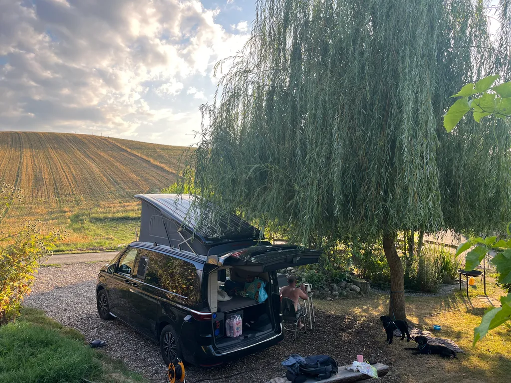 Bild von Evelyne für den Spot 1259