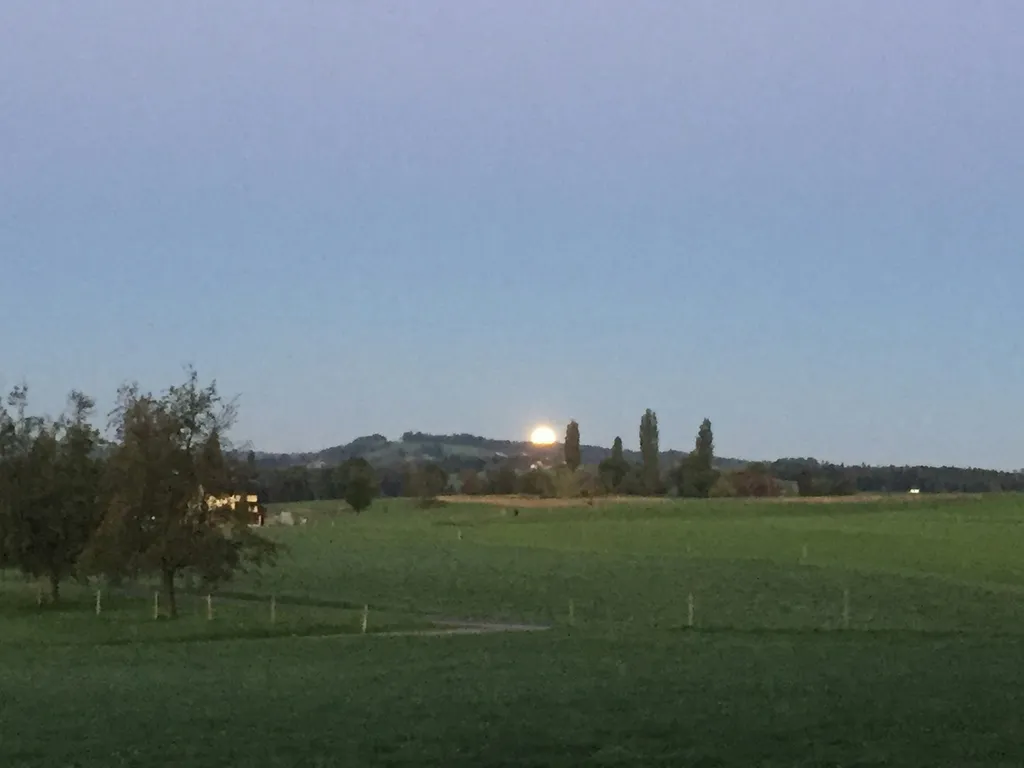 Camp auf dem Bauernhof am Waldrand