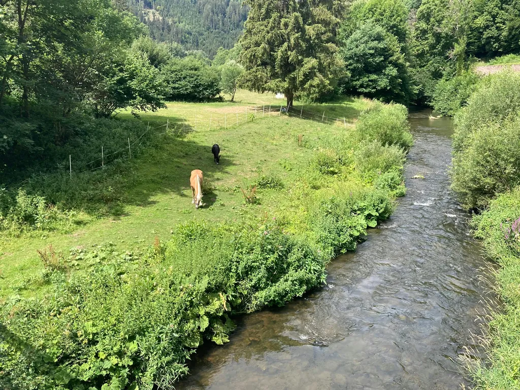 Übernachtung im historischen Nagoldtal