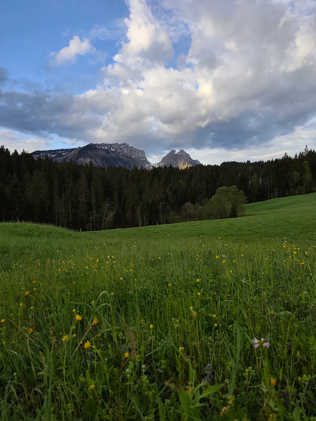 Bödelihof - Bergbauernhof, Bergsicht, im Grünen