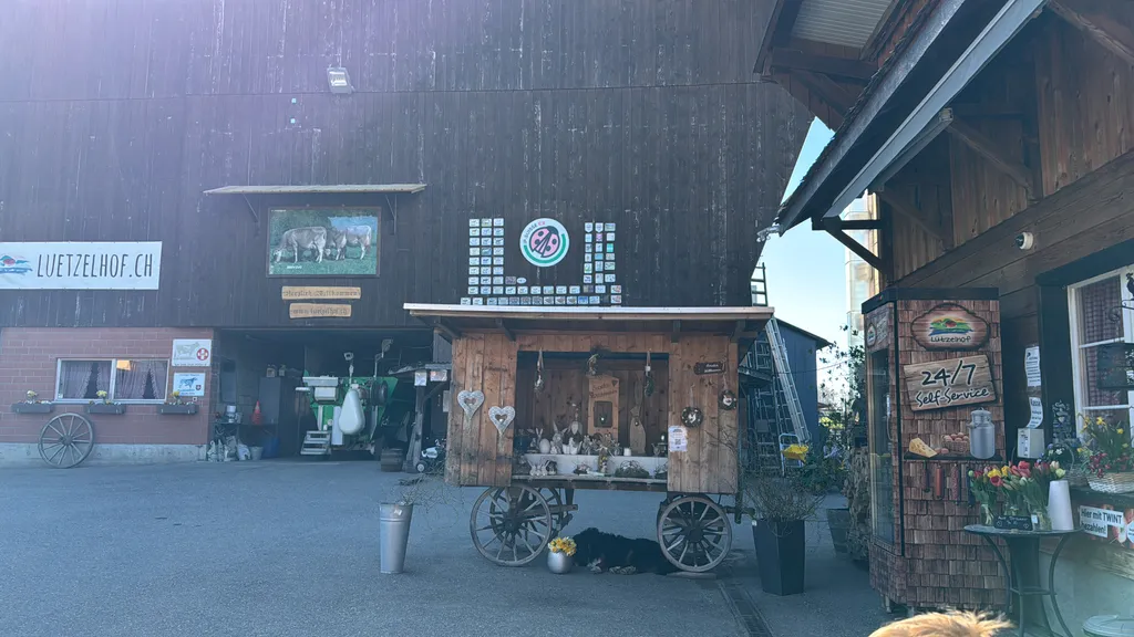 Image by Martina for spot 247