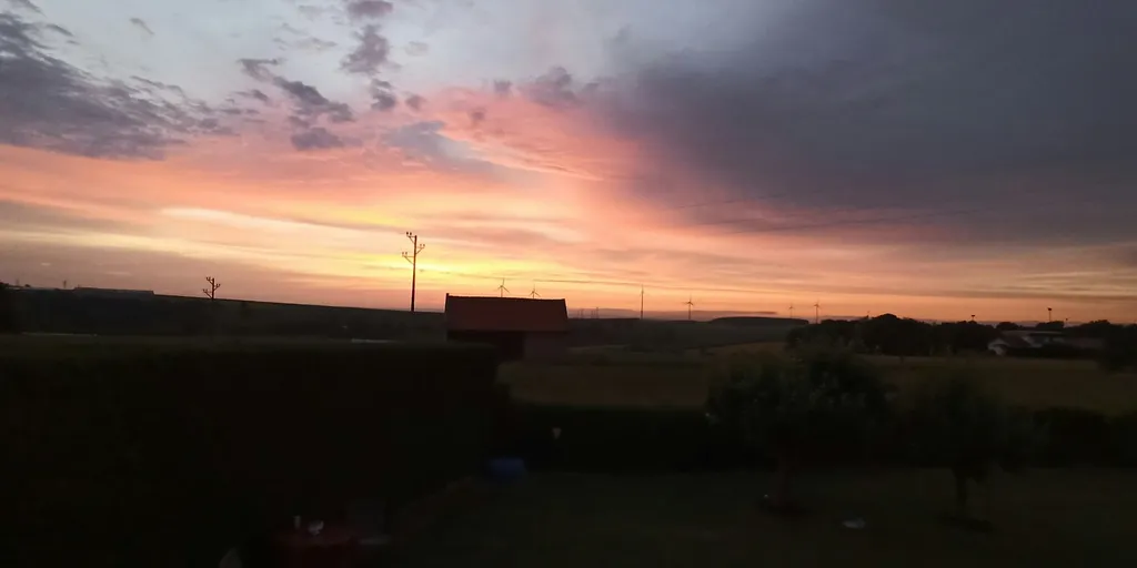 Landluft schnuppern (Kriegsfeld)