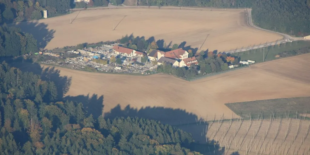 Übernachten in Waldnähe