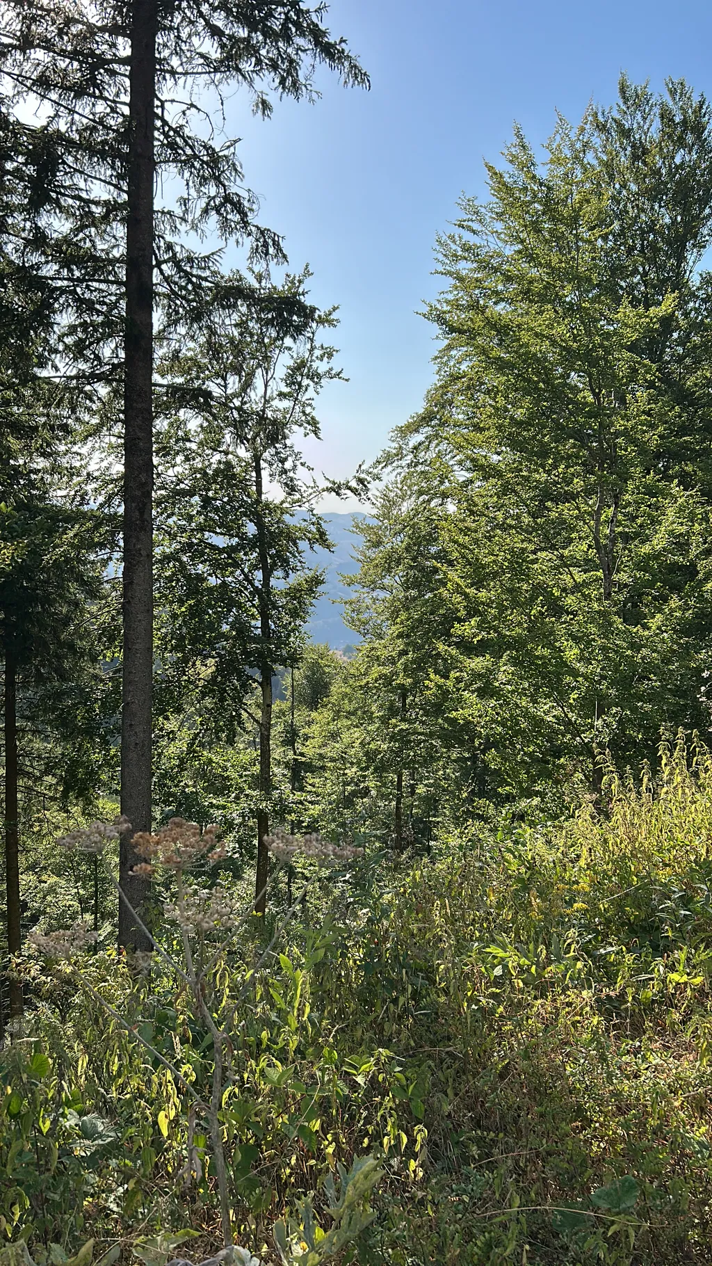 Bild von Manuela für den Spot 1726