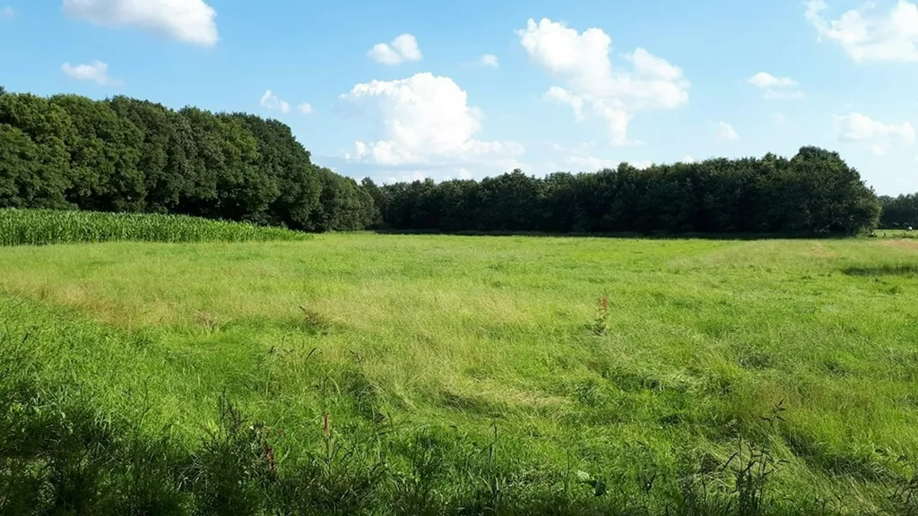 Wohnmobil-Stellplatz Altes Sägewerk