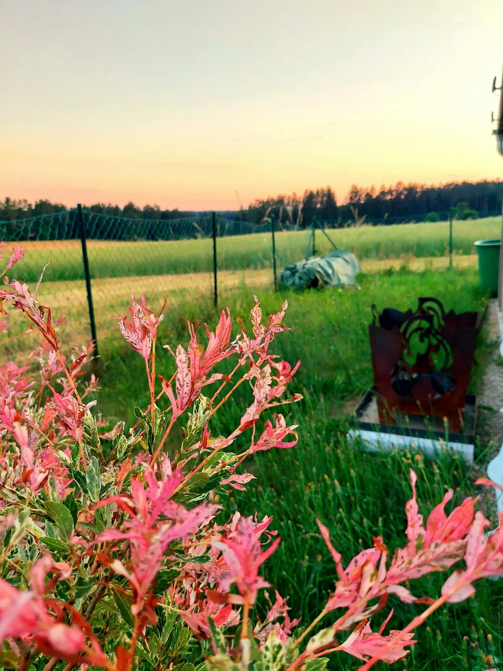 Tolles Fleckchen im Grünen