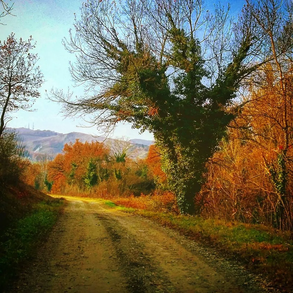 Colline brisighellesi