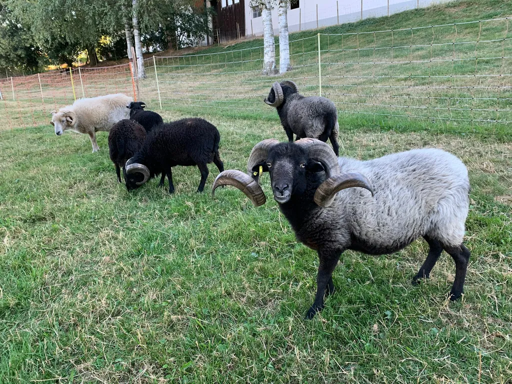 Un petit coin tout nature