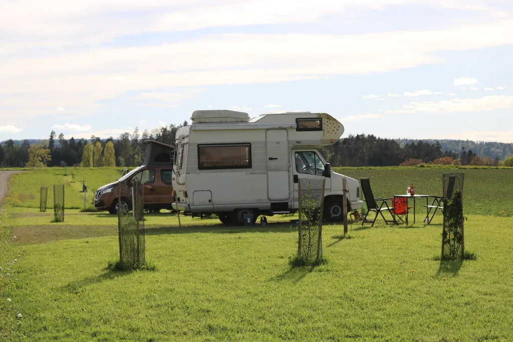 Bauernhof mit Schwarzwaldblick