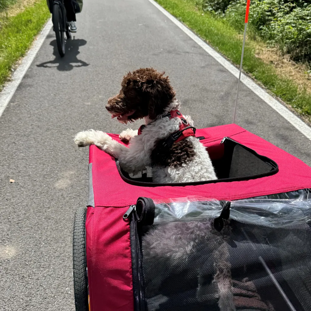 Profilbild von Sacha e Vale