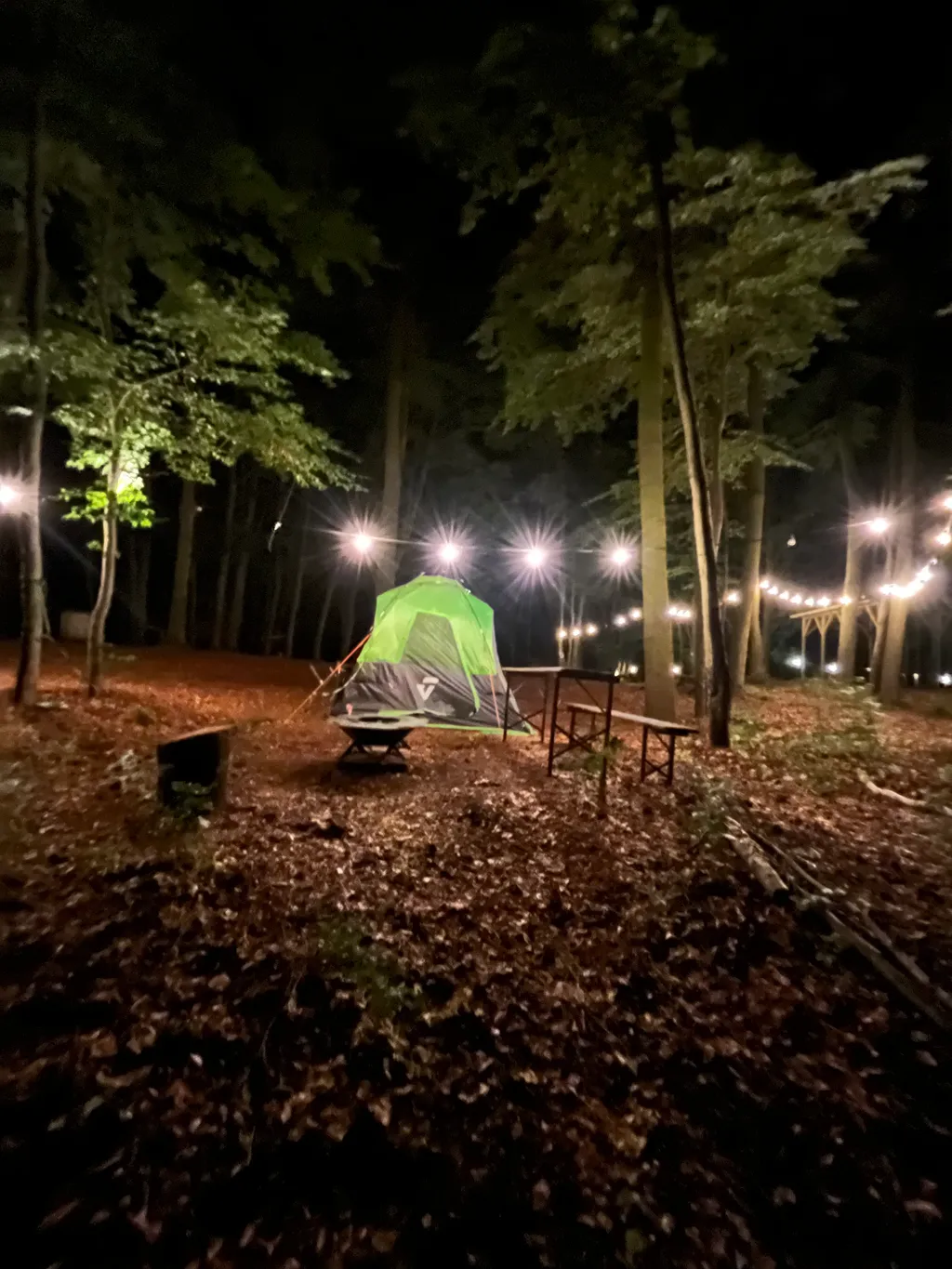 Vanstellplatz im Buchengrün
