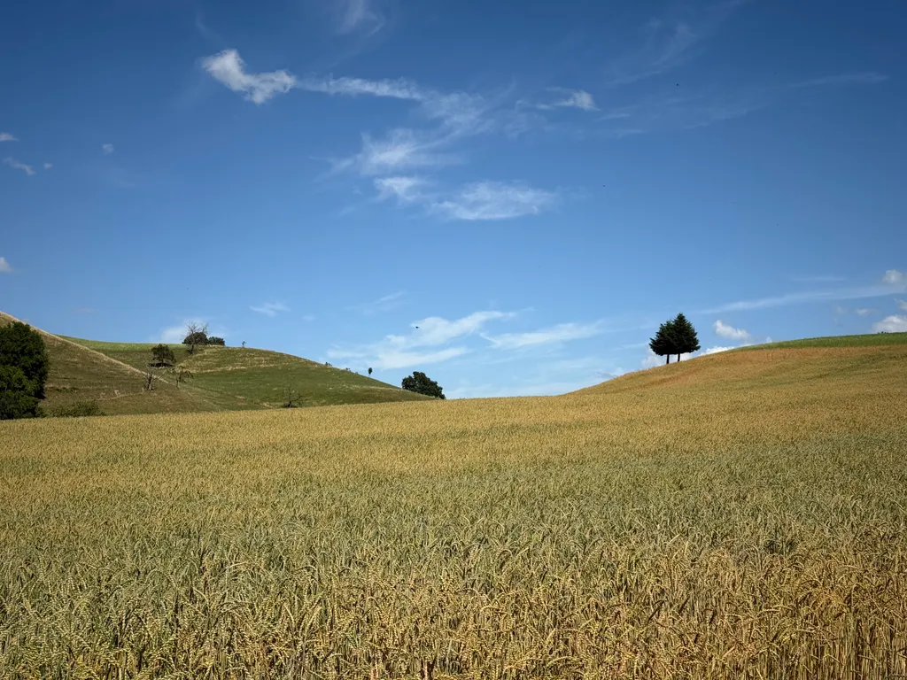 Bild von Patric für den Spot 532