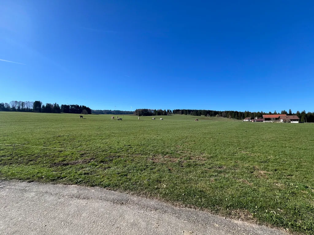 Bild von Juliane für den Spot 875