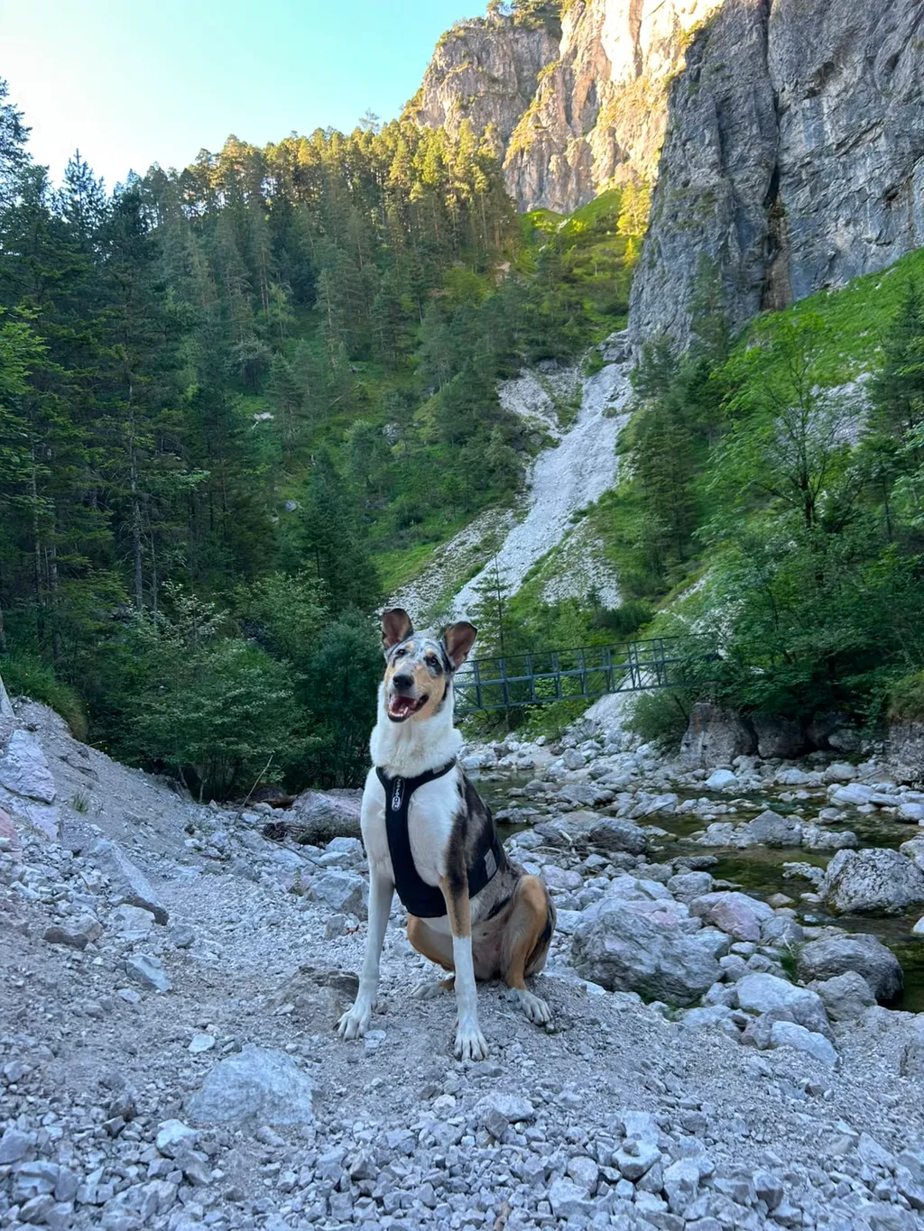 Bild von Kryštof für den Spot 4652