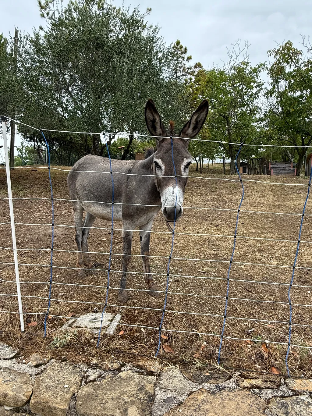Bild von Claudia für den Spot 4297