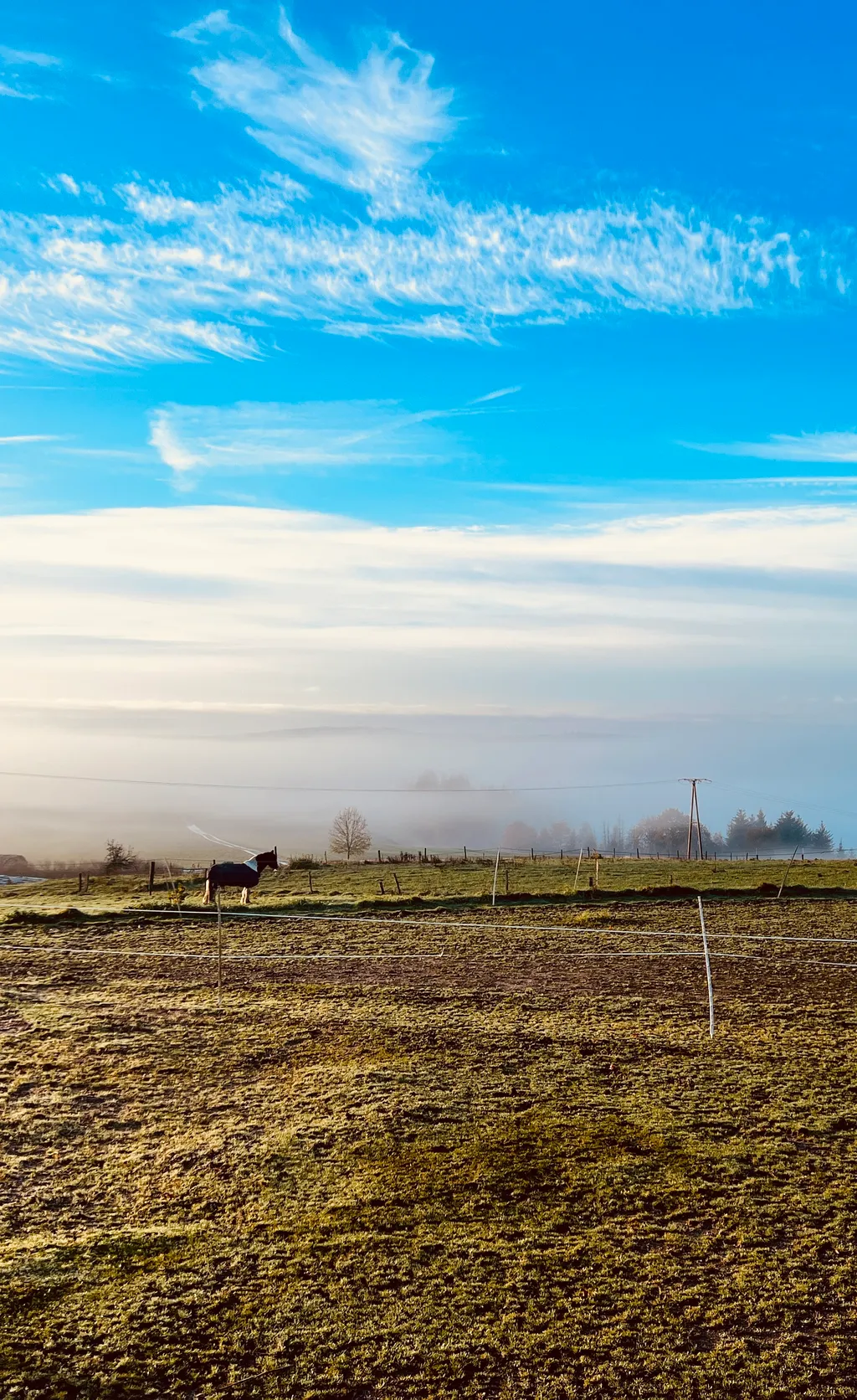 Immagine di Seungjin per lo spot 3024