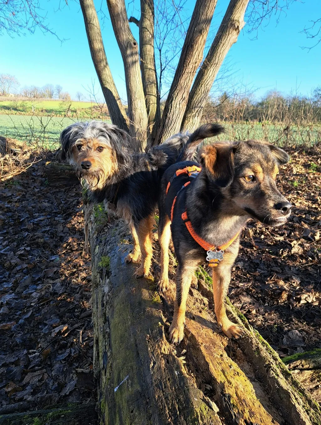 Profilbild von Gitta