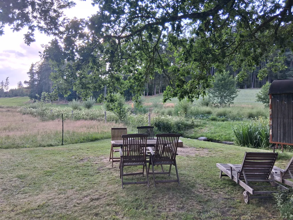 Blick zum Wald