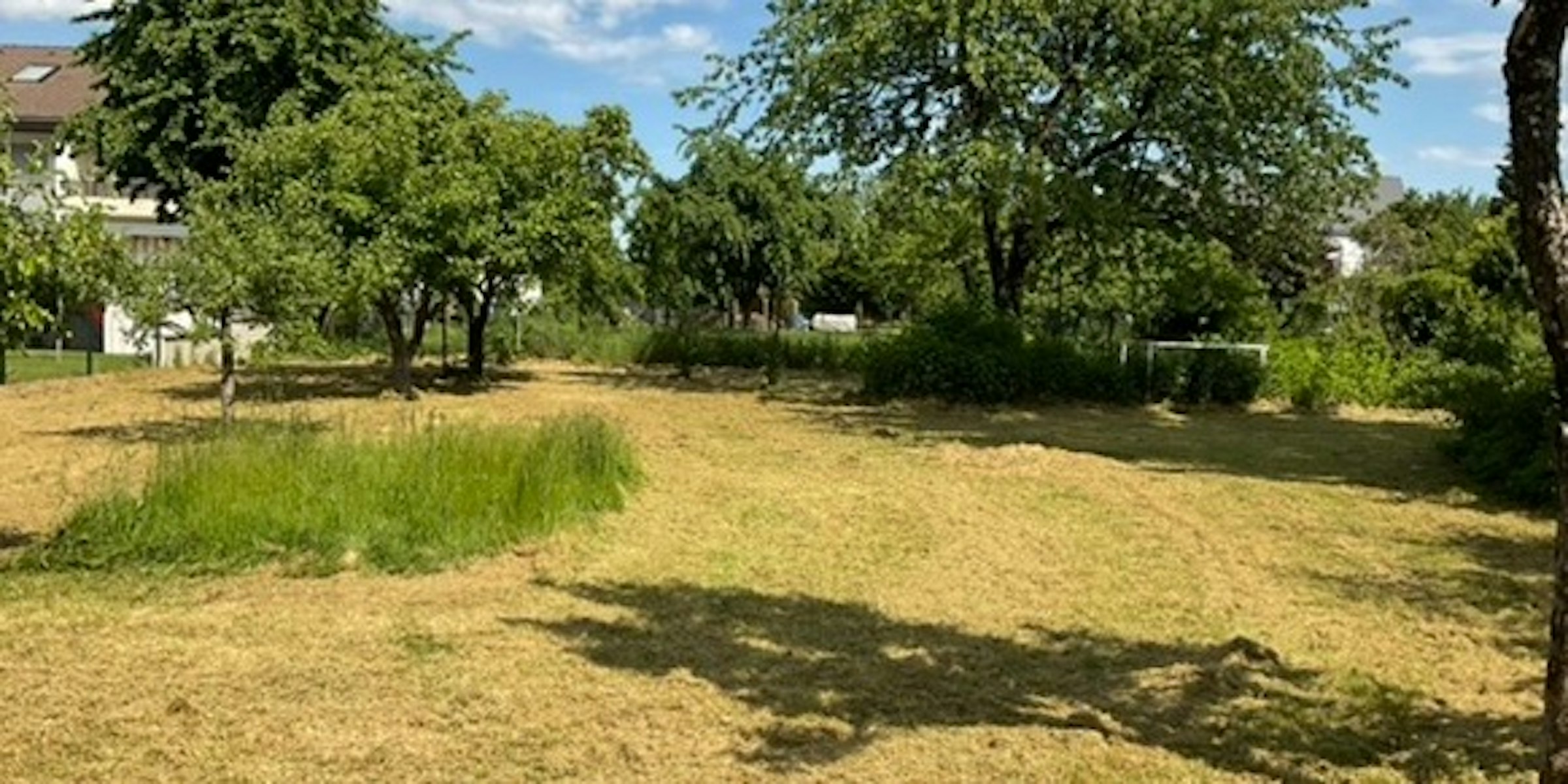 Zeltwiese im Ort am Rhein-Radweg