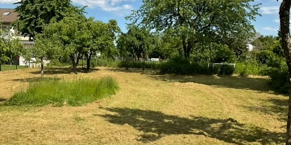 Zeltwiese im Ort am Rhein-Radweg