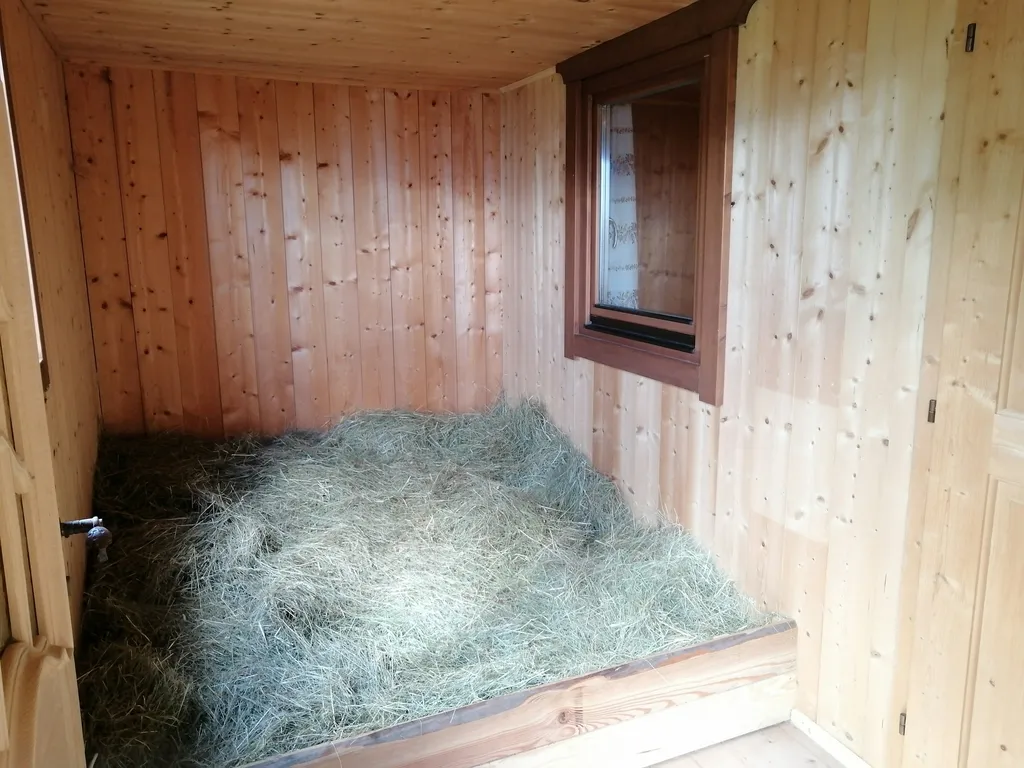 Heulager - Scheune - Bergblick.