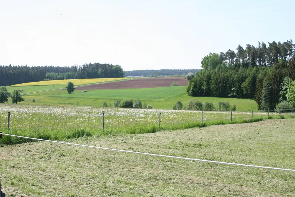Natur pur mit wundervollem Ausblick