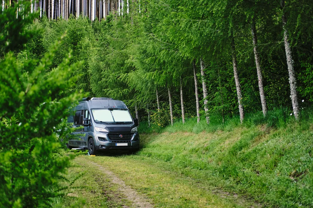 Rank - Beim Naturdenkmal 🌳Eiche🌳