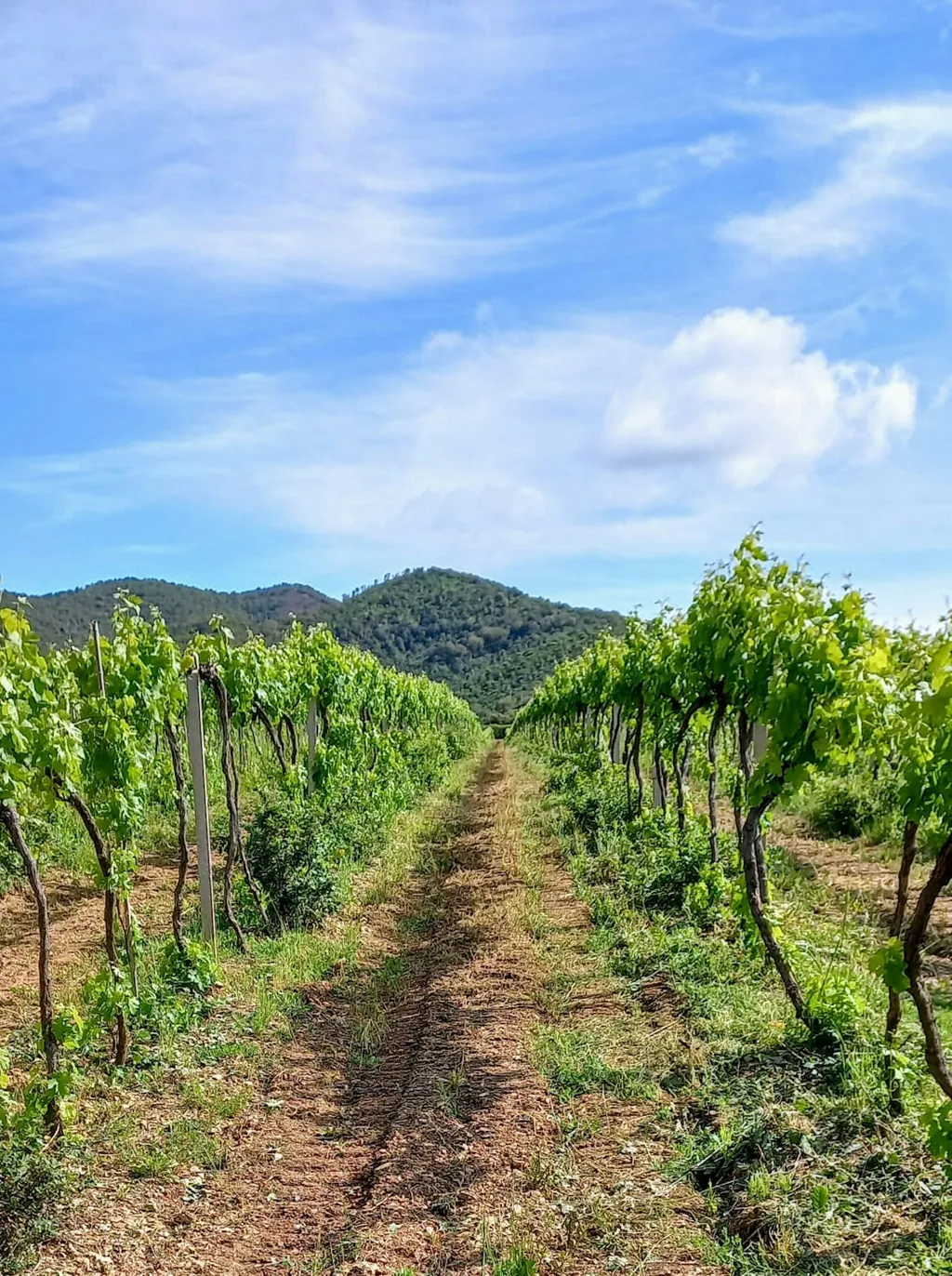 Landgut in der Maremma, Toskana